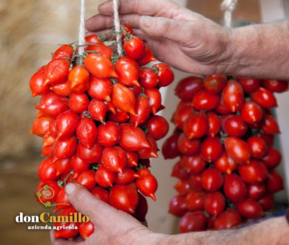 Pomodorino del piennolo